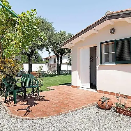 Villa La Cesa For Max 8 Persons